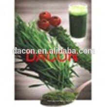 Wheatgrass Powder 270 mesh